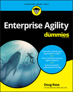 Rose, Doug - Enterprise Agility For Dummies, e-bok