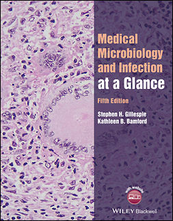 Gillespie, Stephen H. - Medical Microbiology and Infection at a Glance, e-kirja