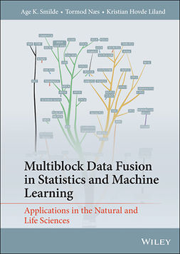 Smilde, Age K. - Multiblock Data Fusion in Statistics and Machine Learning: Applications in the Natural and Life Sciences, ebook