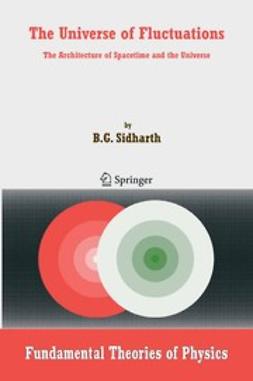 Sidharth, B.G. - The Universe of Fluctuations, e-kirja