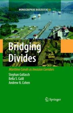 Cohen, Andrew N. - Bridging Divides, ebook