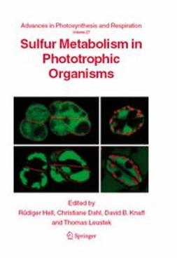 Dahl, Christiane - Sulfur Metabolism in Phototrophic Organisms, ebook