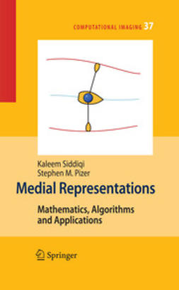 Pizer, Stephen M. - Medial Representations, e-bok