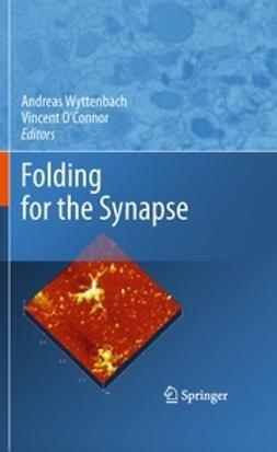 Wyttenbach, Andreas - Folding for the Synapse, e-kirja