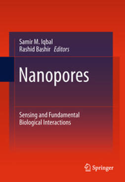 Iqbal, Samir M. - Nanopores, e-bok