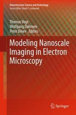 Vogt, Thomas - Modeling Nanoscale Imaging in Electron Microscopy, ebook