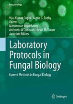 Gupta, Vijai Kumar - Laboratory Protocols in Fungal Biology, e-bok