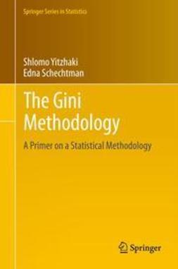 Yitzhaki, Shlomo - The Gini Methodology, e-bok