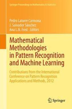 Carmona, Pedro Latorre - Mathematical Methodologies in Pattern Recognition and Machine Learning, ebook