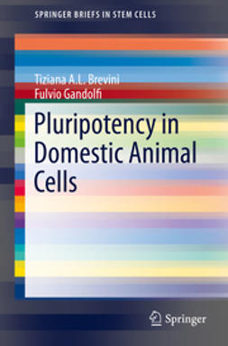 Brevini, Tiziana A.L. - Pluripotency in Domestic Animal Cells, e-bok