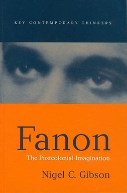 Gibson, Nigel C. - Fanon: The Postcolonial Imagination, e-kirja