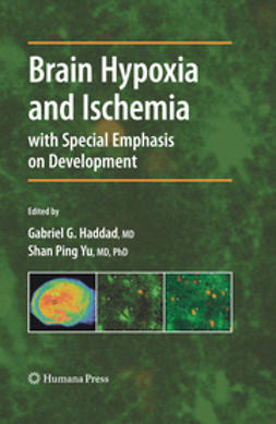 Haddad, Gabriel G. - Brain Hypoxia and Ischemia, e-kirja
