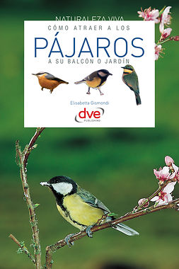 Gismondi, E. - Cómo atraer a los pájaros a su balcón o jardín, ebook