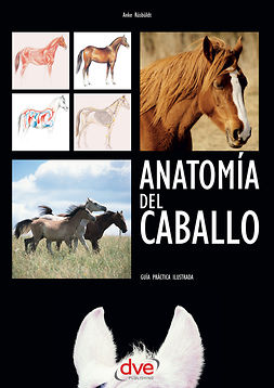 Rüsbüldt, Anke - Anatomía del caballo: Guía práctica ilustrada, e-kirja