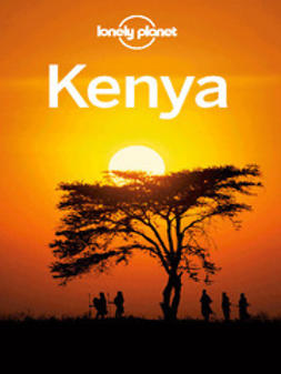 Butler, Stuart - Lonely Planet Kenya, e-kirja
