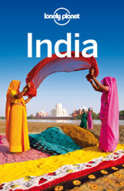 Benanav, Michael - Lonely Planet India, ebook