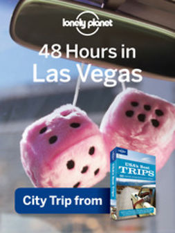  - 48 Hours in Las Vegas, ebook