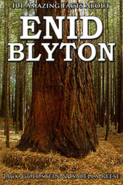 Goldstein, Jack - 101 Amazing Facts about Enid Blyton, e-bok