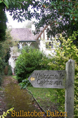 Dalton, Sullatober - Welcome to Oakhaven, e-bok