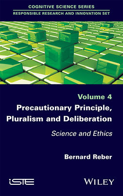 Reber, Bernard - Precautionary Principle, Pluralism and Deliberation: Science and Ethics, e-kirja