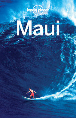 Planet, Lonely - Lonely Planet Maui, ebook