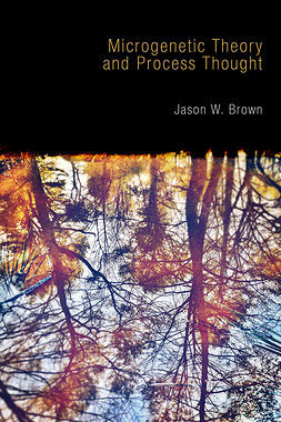 Brown, Jason W. - Microgenetic Theory and Process Thought, e-kirja