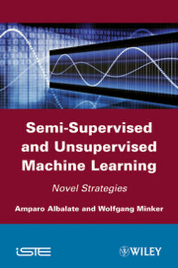 Albalate, Amparo - Semi-Supervised and Unsupervised Machine Learning: Novel Strategies, ebook