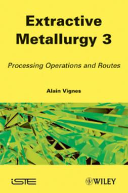 Vignes, Alain - Extractive Metallurgy 3: Processing Operations and Routes, ebook