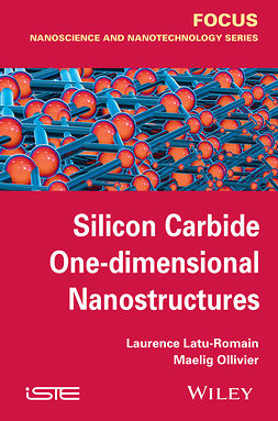 Latu-Romain, Laurence - Silicon Carbide One-dimensional Nanostructures, ebook
