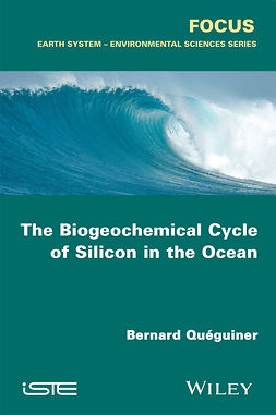 Quéguiner, Bernard - The Biogeochemical Cycle of Silicon in the Ocean, e-bok