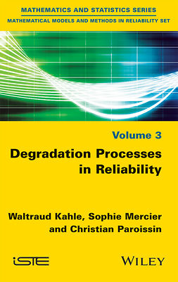 Kahle, Waltraud - Degradation Processes in Reliability, ebook