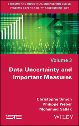 Sallak, Mohamed - Data Uncertainty and Important Measures, e-bok