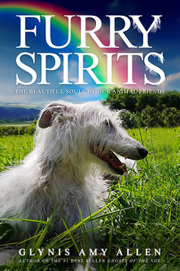 Allen, Glynis Amy - Furry Spirits, ebook