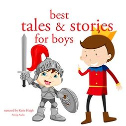 Andersen, Hans Christian - Best Tales and Stories for Boys, audiobook