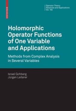 Gohberg, Israel - Holomorphic Operator Functions of One Variable and Applications, e-kirja