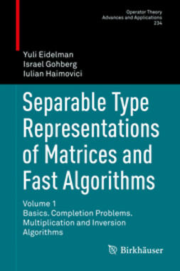 Eidelman, Yuli - Separable Type Representations of Matrices and Fast Algorithms, ebook