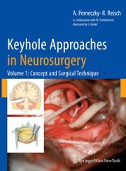 Perneczky, Axel - Keyhole Approaches in Neurosurgery, ebook