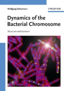 Schumann, Wolfgang - Dynamics of the Bacterial Chromosome: Structure and Function, ebook