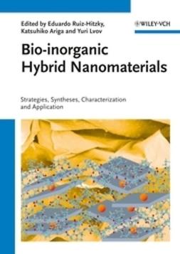 Ruiz-Hitzky, Eduardo - Bio-inorganic Hybrid Nanomaterials, e-kirja