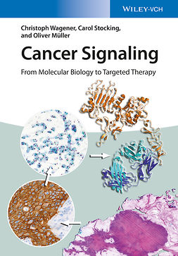 Müller, Oliver - Cancer Signaling, Enhanced Edition: From Molecular Biology to Targeted Therapy, ebook