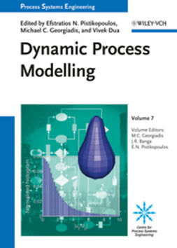 Dua, Vivek - Dynamic Process Modeling, ebook
