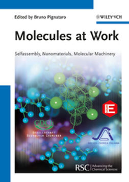 Pignataro, Bruno - Molecules at Work: Selfassembly, Nanomaterials, Molecular Machinery, ebook