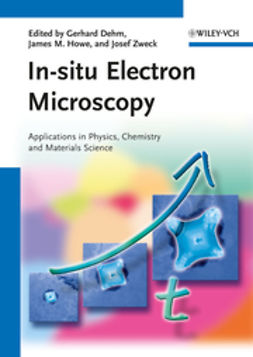 Dehm, Gerhard - In-situ Electron Microscopy: Applications in Physics, Chemistry and Materials Science, ebook