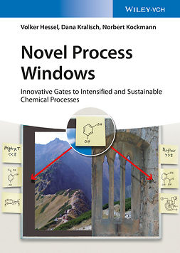 Hessel, Volker - Novel Process Windows: Innovative Gates to Intensified and Sustainable Chemical Processes, ebook