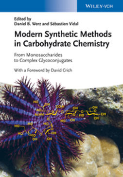 Werz, Daniel B. - Modern Synthetic Methods in Carbohydrate Chemistry: From Monosaccharides to Complex Glycoconjugates, e-bok