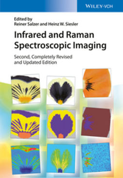 Salzer, Reiner - Infrared and Raman Spectroscopic Imaging, e-bok