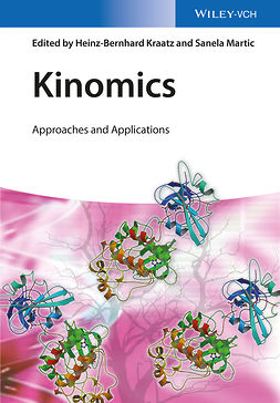 Kraatz, Heinz-Bernhard - Kinomics: Approaches and Applications, e-kirja