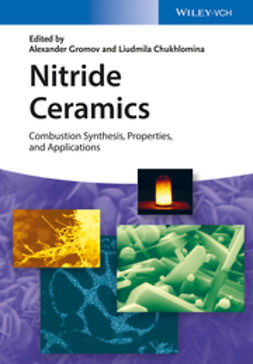 Gromov, Alexander A. - Nitride Ceramics: Combustion Synthesis, Properties and Applications, e-kirja