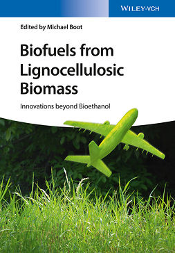 Boot, Michael - Biofuels from Lignocellulosic Biomass: Innovations beyond Bioethanol, ebook