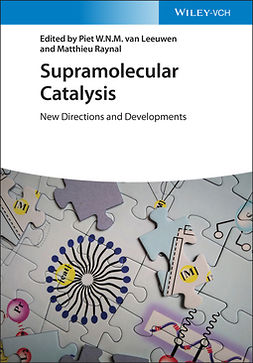 Raynal, Matthieu - Supramolecular Catalysis: New Directions and Developments, e-kirja